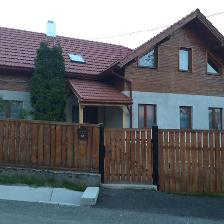 Pensiunea Floare De Colt Belis Exterior photo