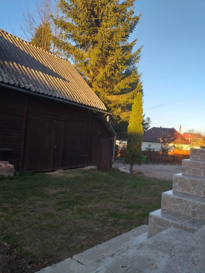 Pensiunea Floare De Colt Belis Exterior photo